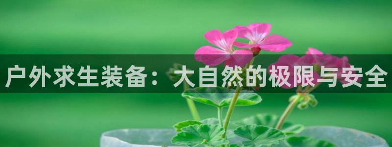 新宝gg游戏平台