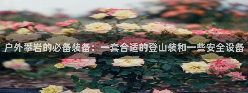 新宝gg代理条件