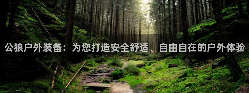 新宝GG53339咨询新宝GG