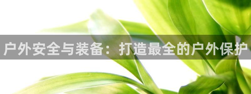 新宝GG登录网页
