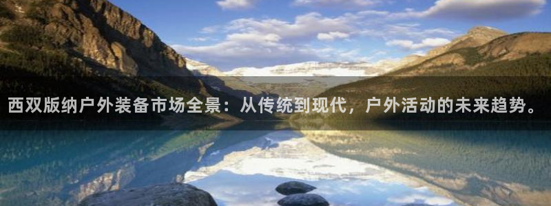 新宝gg手机版下载