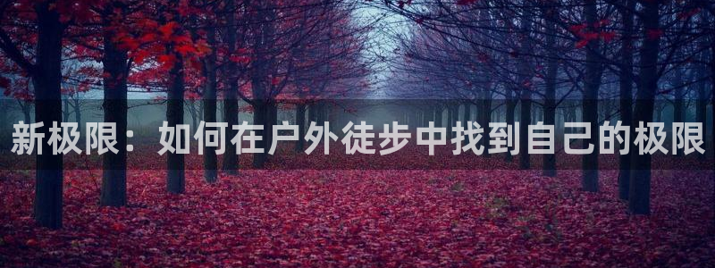 新宝GG最高返点多少