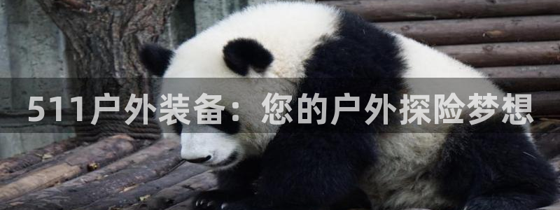 新宝gg平台反水