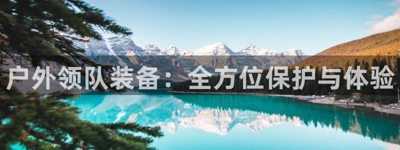 新宝gg代理登录