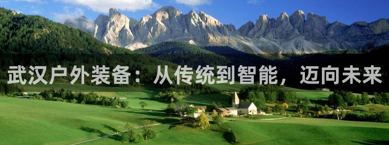 新宝gg登录网址