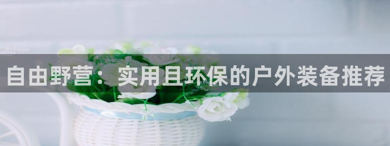 新宝gg娱乐-上鼎狐网