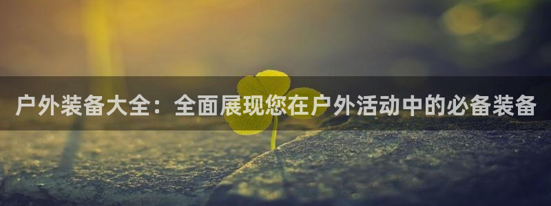 新宝gg登录地址