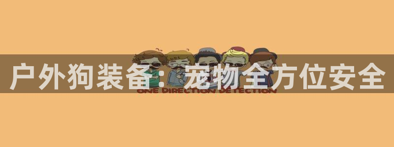 新宝gg登录平台