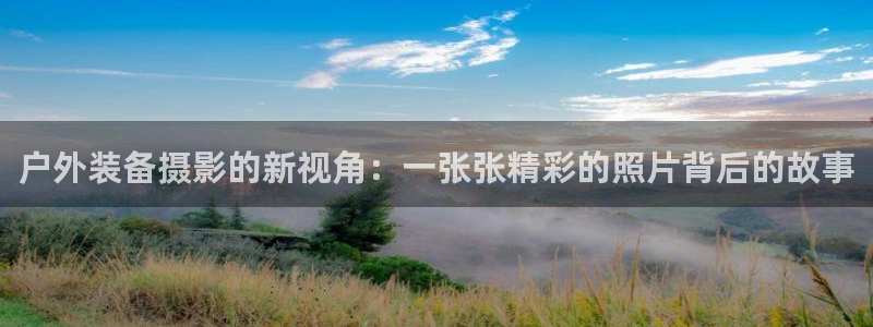 新宝gg手机登录