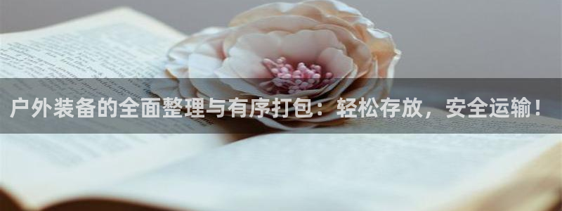 新宝gg客服电话