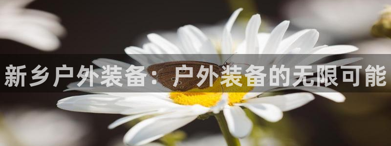 登录新宝gg游戏