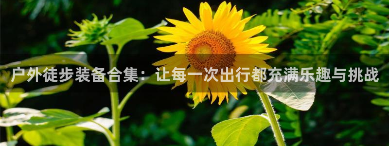 新宝gg注册q26880