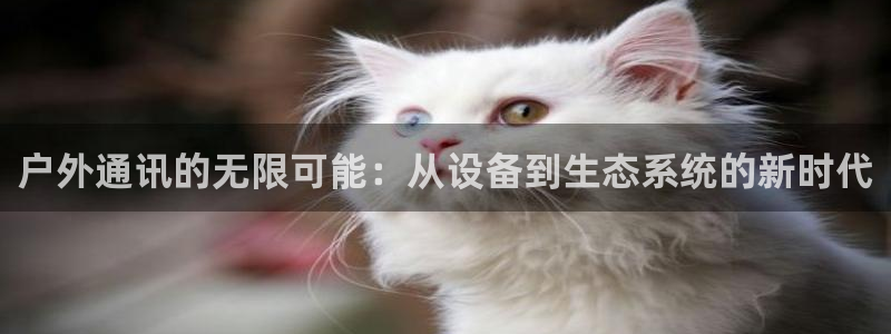 新宝gg怎样代理