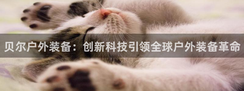 新宝gg主管