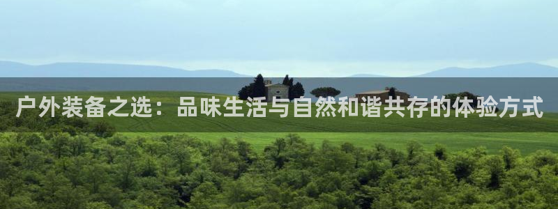 新宝gg画