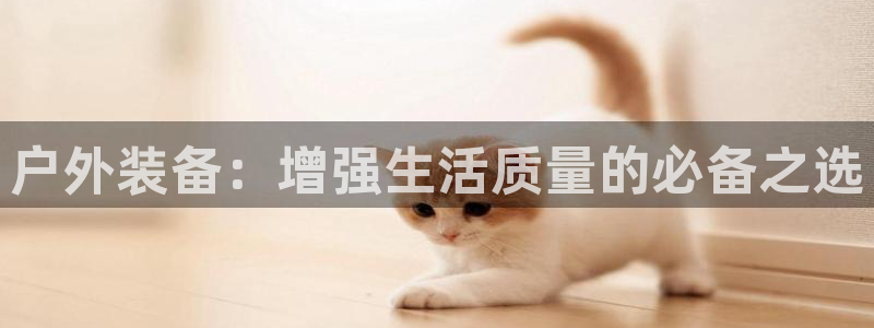 新宝gg挂机软件下载