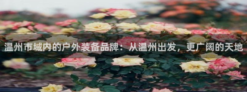 新宝gg注册1956