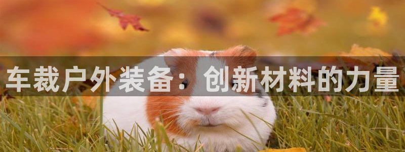 新宝gg手机版下载