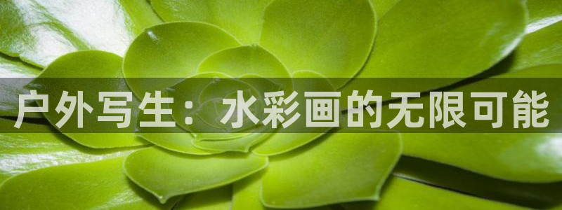 新宝GG创造奇