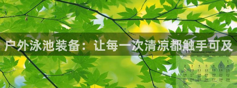 新宝gg app
