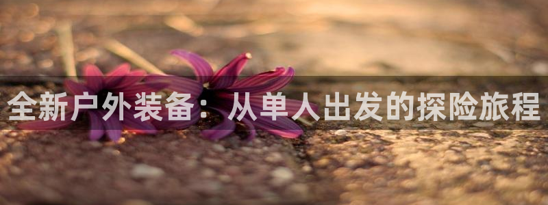 新宝GG玩家