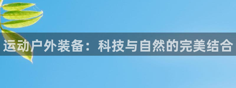 新宝GG寻29999