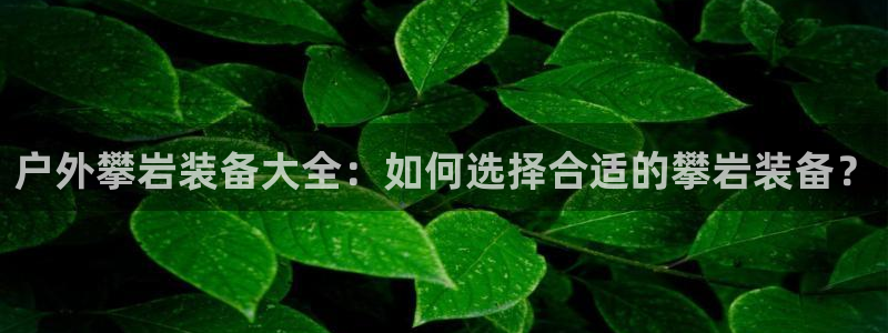 新宝gg娱乐官网