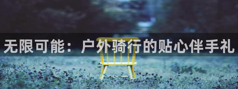 新宝gg地址新宝二